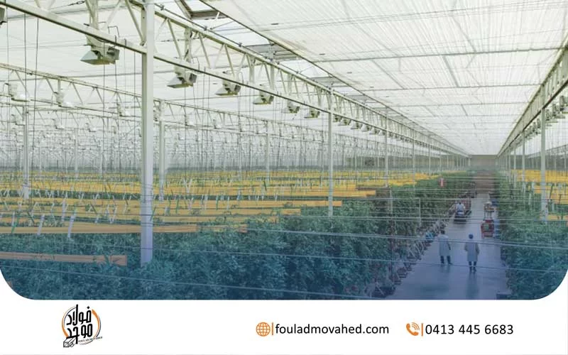 ساخت گلخانه